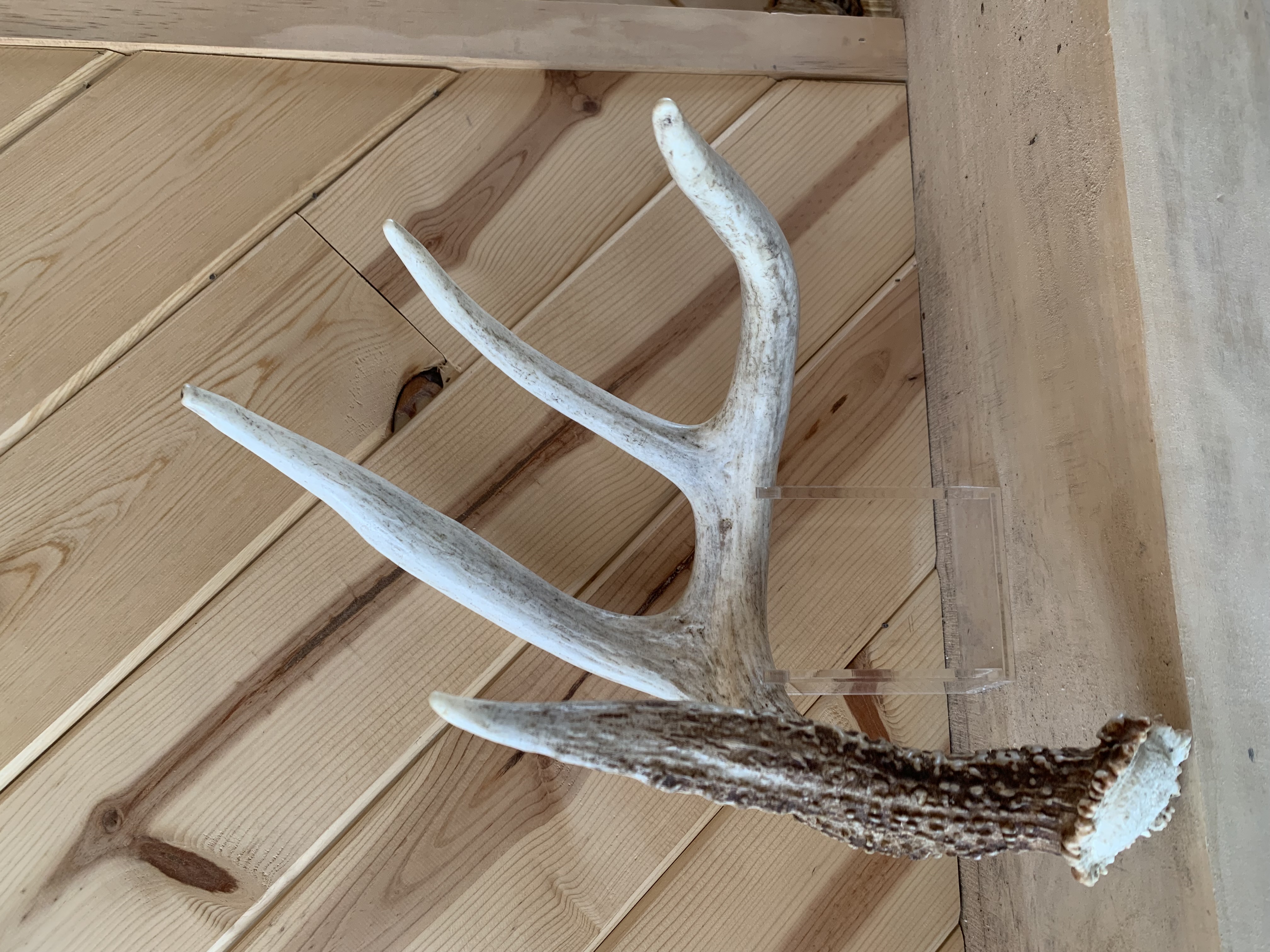 Deer Sheds
