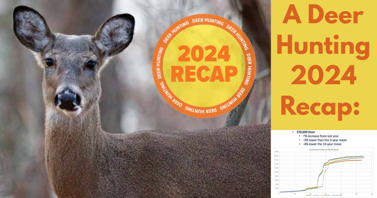 MN Deer Hunting Recap
