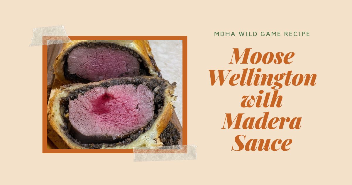 Moose Cooking Recipe