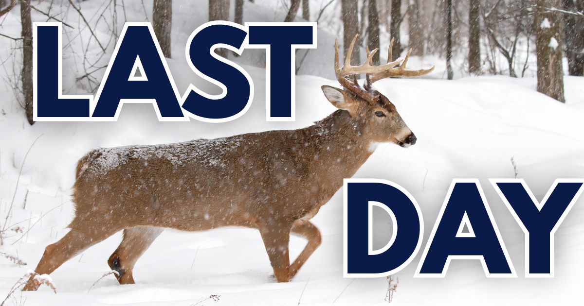 Last Day Hunting