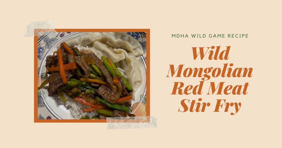 Wild Mongolian Red Meat Stir Fry